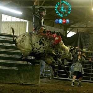 URA-Bull-Riding-Photo-Courtesy-of-Beamer-Photos