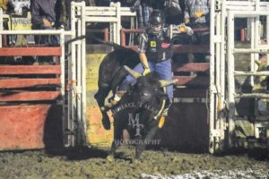 URA-Bull-Riding-United-Rodeo-Association-Photo-Courtesy-Michael-Talley-Photography