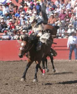 rodeo-gallery-003