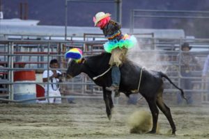 2016-banning-stagecoach-days-5