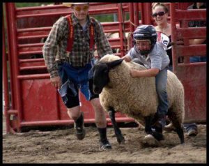 2016-banning-stagecoach-days-mutton-bustin