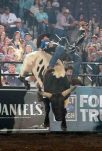 2016 PBR BFTS PFIWestern.com Invitational JQH arena