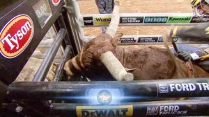 2016-pbr-bfts-rumble-in-the-rockies-2