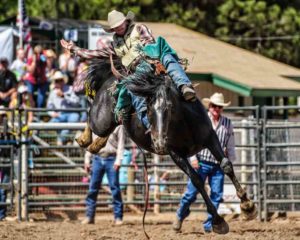 2016-prca-poway-rodeo-4