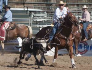 2016-prca-poway-rodeo-6