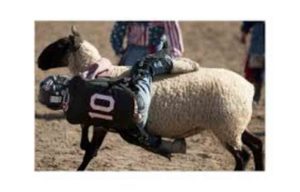 2016-prca-poway-rodeo-9