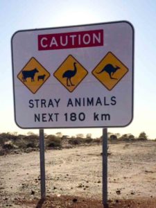 australian-road-signs