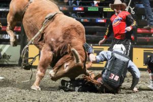 Billy Robinson attempts to ride Ace of Spades/Talbert's Hot Iron during the first round of the Anaheim Built Ford Tough series PBR. Photo by Andy Watson