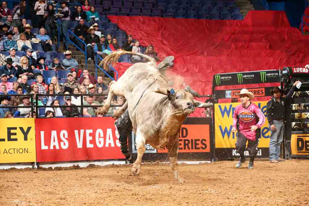 Former NFL Star Jared Allen's Bull Riding Team is Taking PBR by Storm -  FloRodeo