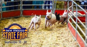 new-mexico-state-fair-pig-race