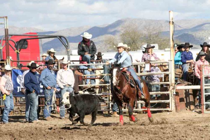 Women’s Breakaway Roping: The Ins And Outs