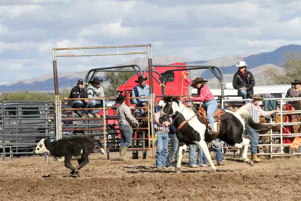 Women’s Breakaway Roping: The Ins and Outs