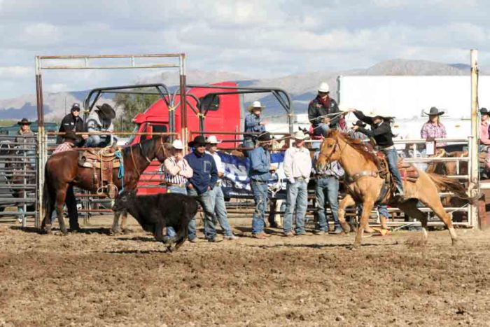 Women’s Breakaway Roping: The Ins and Outs