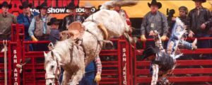 barnes-prca-rodeo-livestock-headed-to-ram-great-lakes-circuit-finals-wrangler-nfr-2016-5