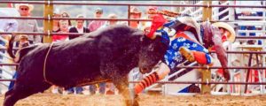 barnes-prca-rodeo-livestock-headed-to-ram-great-lakes-circuit-finals-wrangler-nfr-2016-8