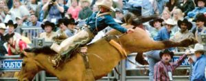 barnes-prca-rodeo-livestock-headed-to-ram-great-lakes-circuit-finals-wrangler-nfr-2016-9