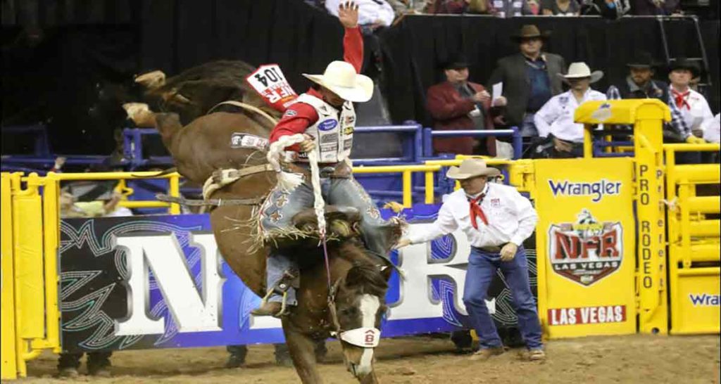 Barnes PRCA Rodeo livestock headed to 2016 RAM Great Lakes Circuit