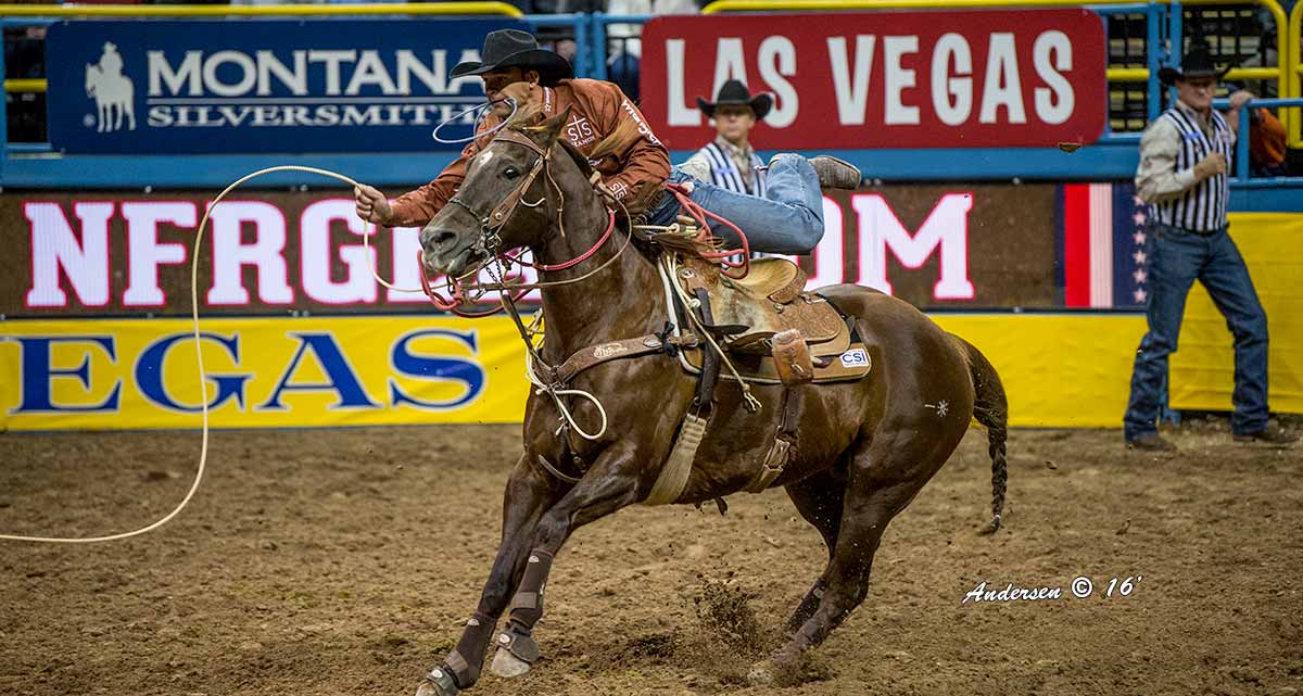 Marcos Costa - Tie-Down Roping - Wrangler NFR Rodeo 2016 Go-Round Winners: Day 2 in Las Vegas © Ric Andersen Photos