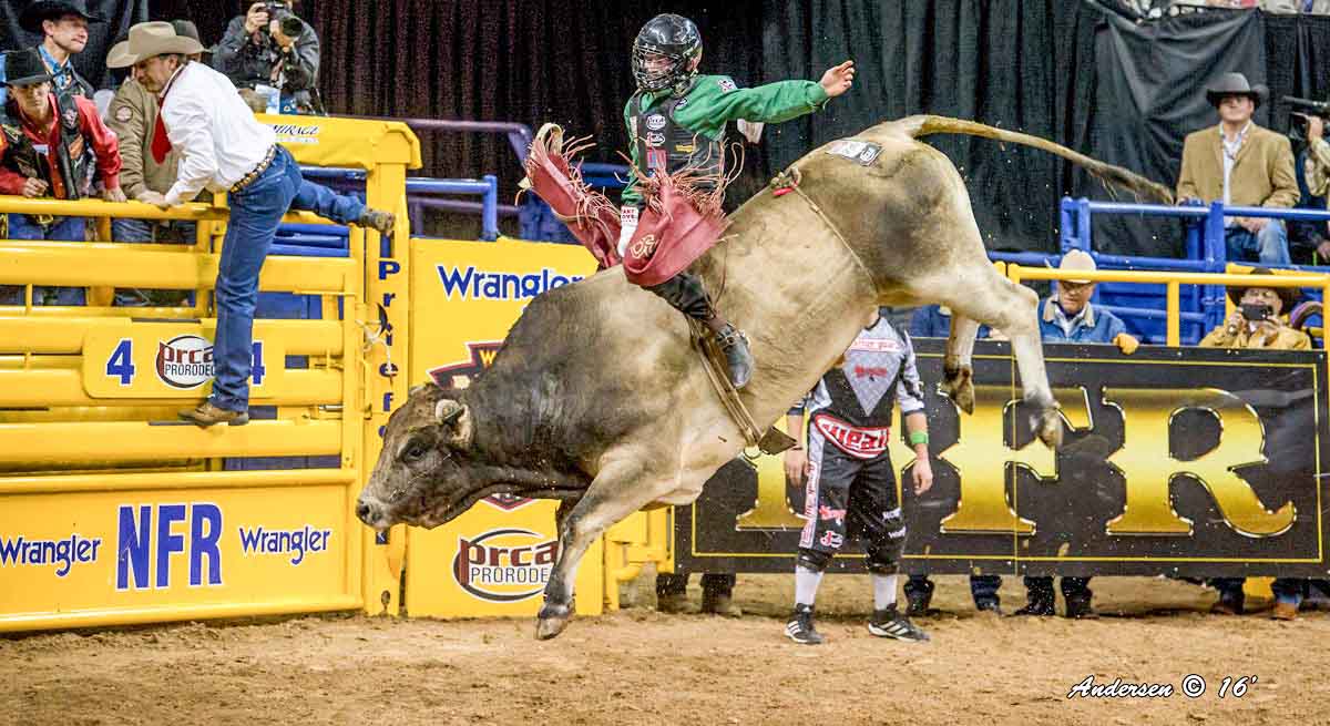 Brennon Eldred on SweetPros Bruiser (D&H Cattle) during Round 9 of the WNFR16
