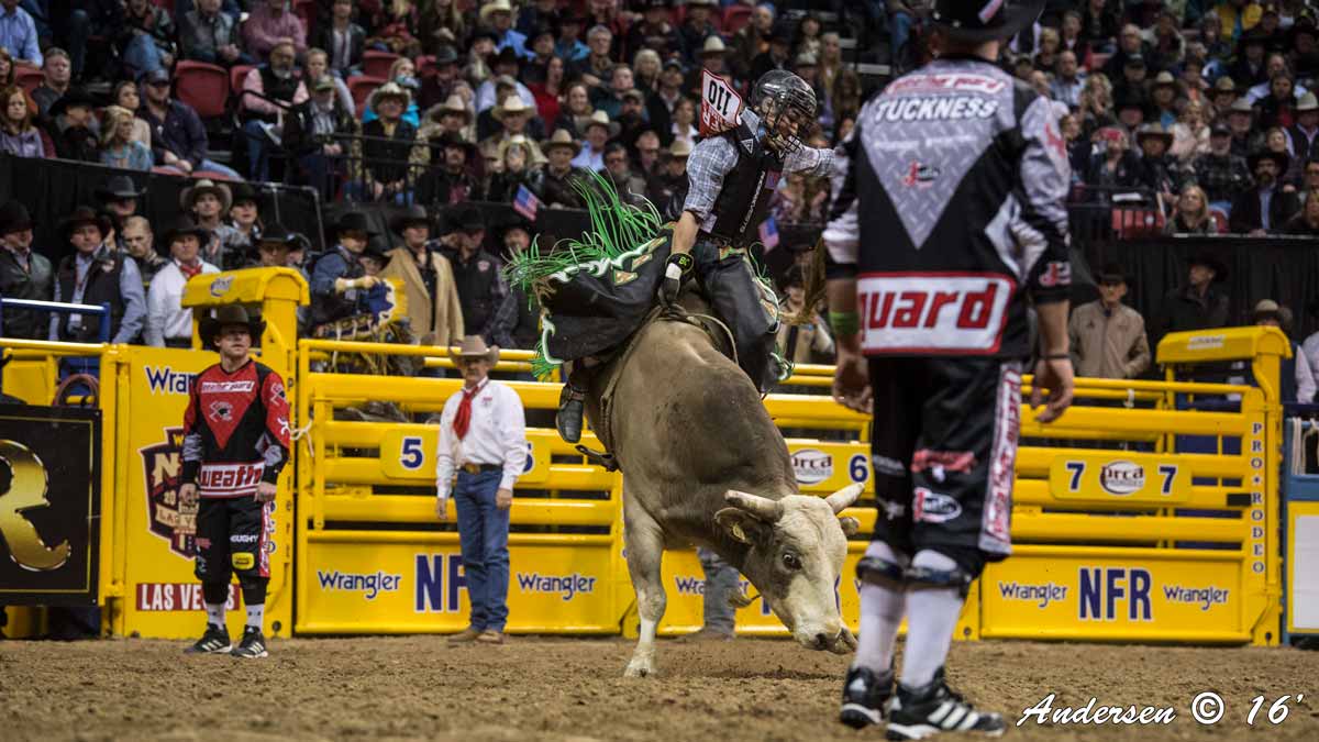 Cody Rostockyj on Monkey Punch of Andrews Rodeo with a 85 point ride during Round 7 of WNFR16