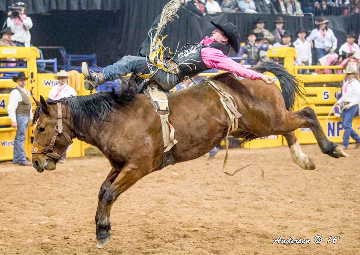 Jake Vold takes the victory in Bareback Riding