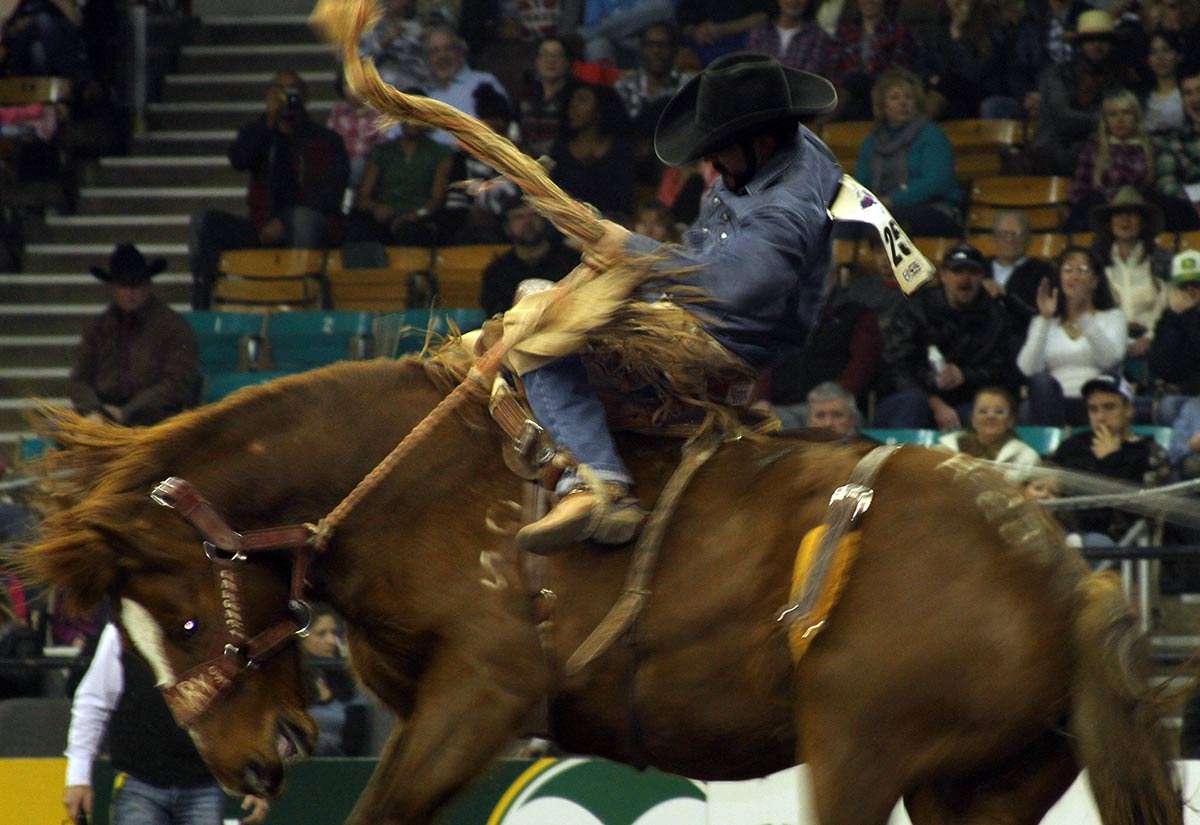 National Western Rodeo Seating Chart