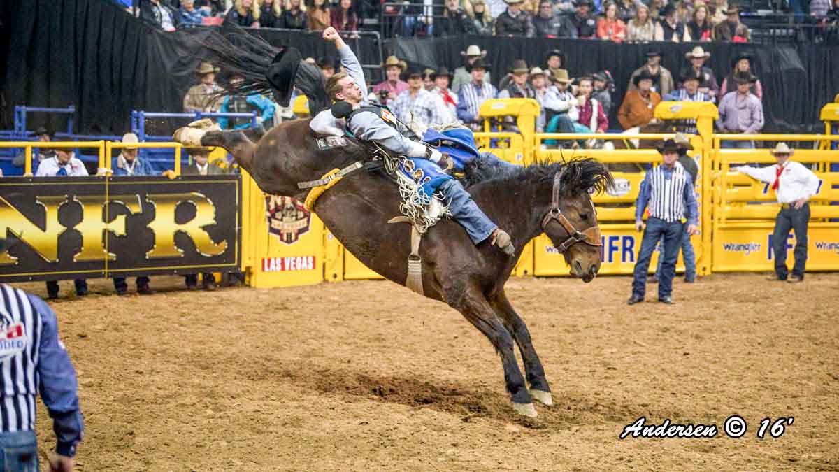 Orin Larsen on Full Baggage (Frontier Rodeo) with a score of 87.5 Round 8 of the WNFR16