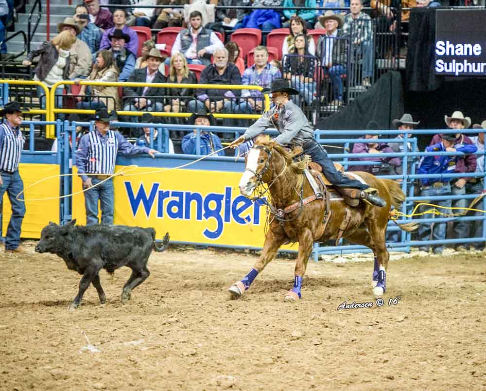 Shane Hanchey - Tie-Down Roping - NFR Rodeo 2016 Go-Round Winners: Day 1 in Las Vegas
