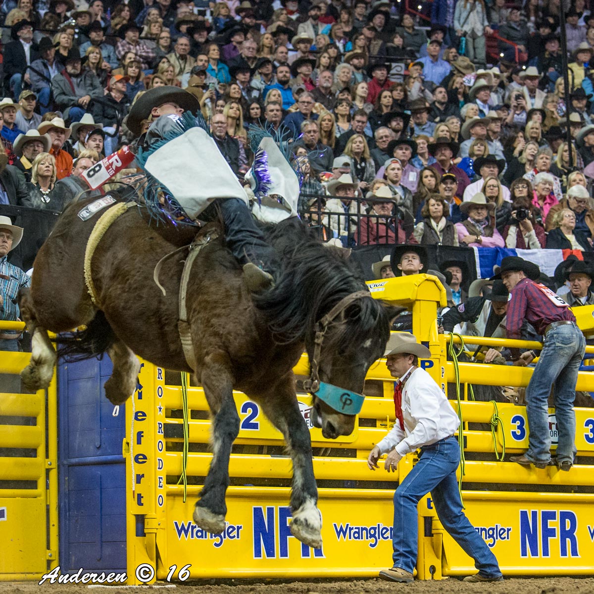 RC Landingham on Scarlet Fever (Pickett Rodeo) with a 84.5 ride during Round 7 of WNFR16