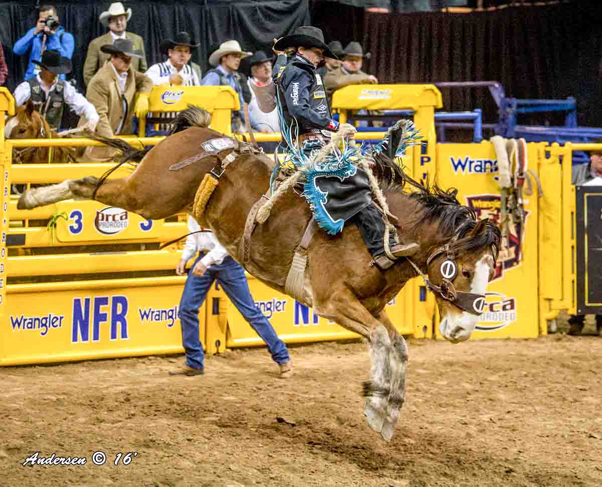 Ryder Wright on Vitalix Alpha Dog of Cervi Championship Rodeo during Round 9 of the WNFR16