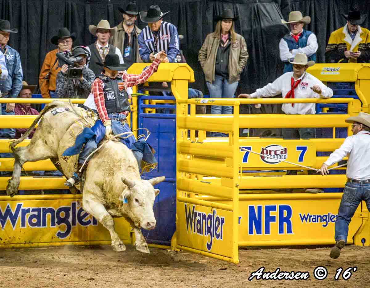 Tyler Smith on Coopers Comet (Wayner Vold Rodeo) with a score of 89 during Round 8 WNFR16