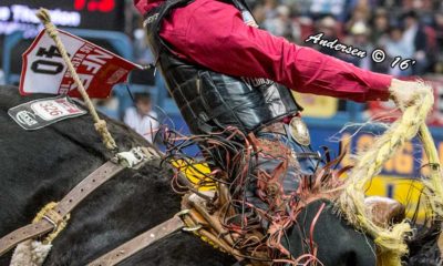 Zeke Thurston on Black Hills (C5 Rodeo) with a score of 88.5 Round 6 pf the WNFR16