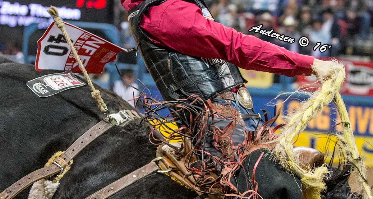 Zeke Thurston on Black Hills (C5 Rodeo) with a score of 88.5 Round 6 pf the WNFR16
