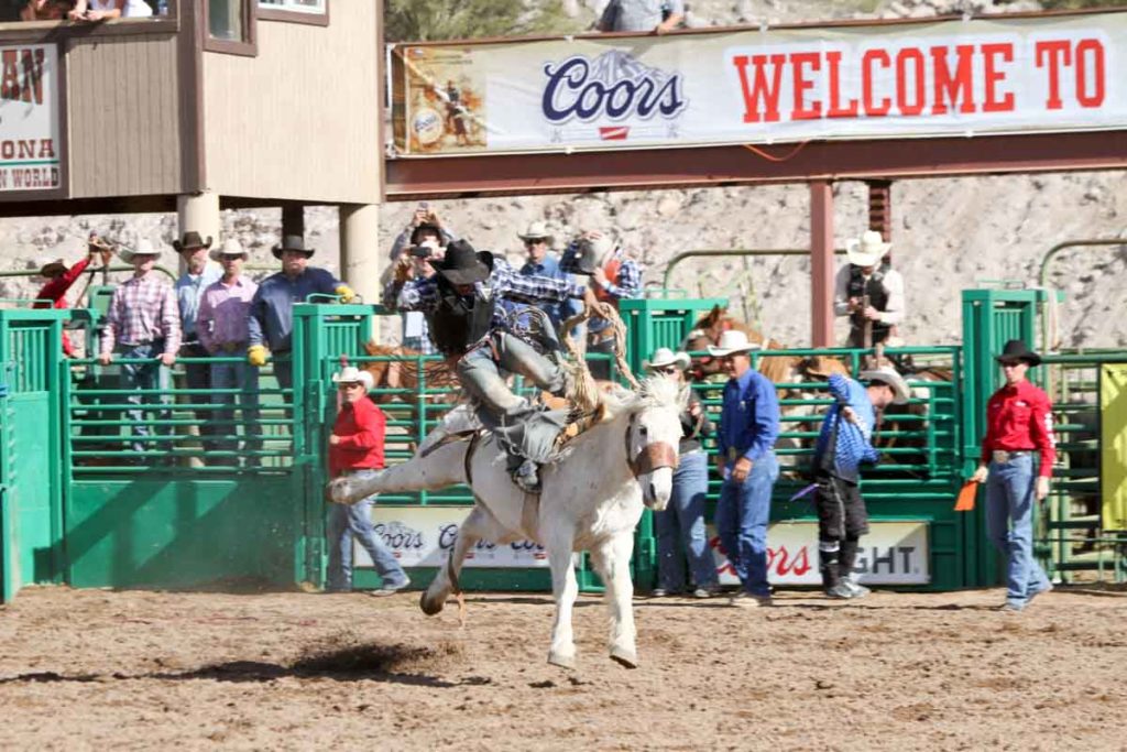 Rodeo 101 National Senior Pro Rodeo Association (NSPRA) Cowboy