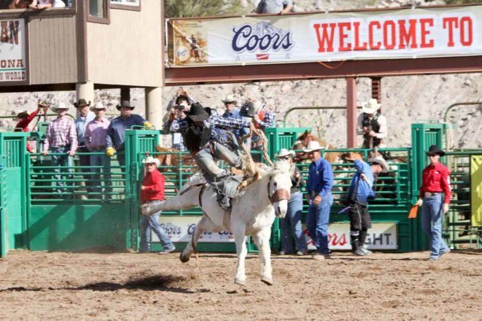 Rodeo 101: National Senior Pro Rodeo Association (NSPRA) - Cowboy