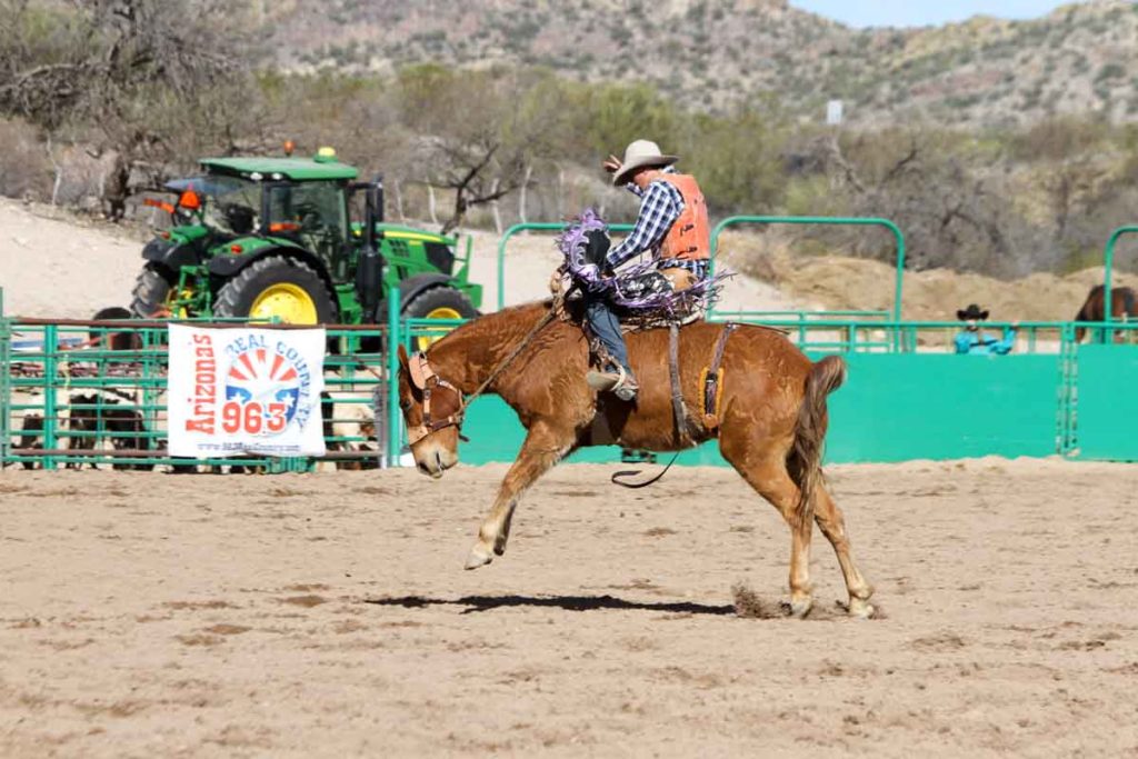 69th Annual Gold Rush Days and Senior Pro Rodeo in Wickenburg, AZ