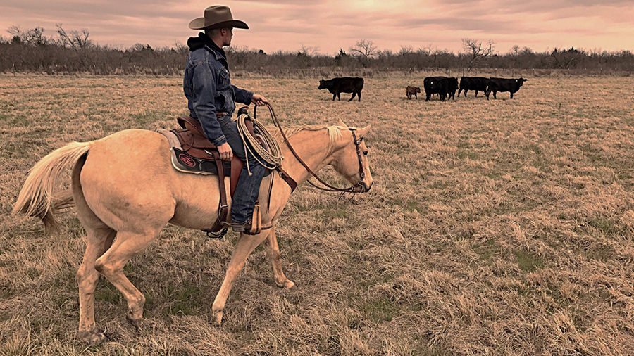Brian Doty spent some time at the ranch checking cattle.