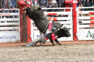 Calgary Stampede CLN 2015 (Day 2) (Dakota Buttar)