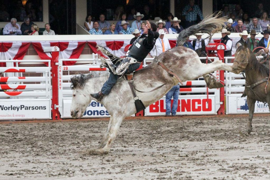 Calgary Stampede CLN 2015 (Day 2) (Dusty LaValley)