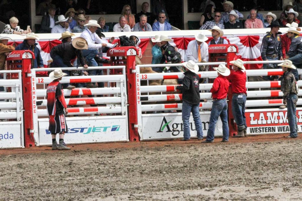 Calgary Stampede CLN 2015 (Day 2) (JB Mauney)