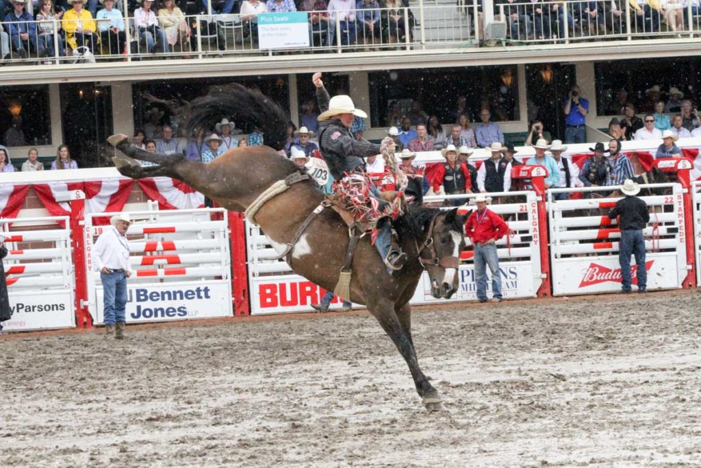 Calgary Stampede CLN 2015 (Day 2) (Jacobs Crawley)