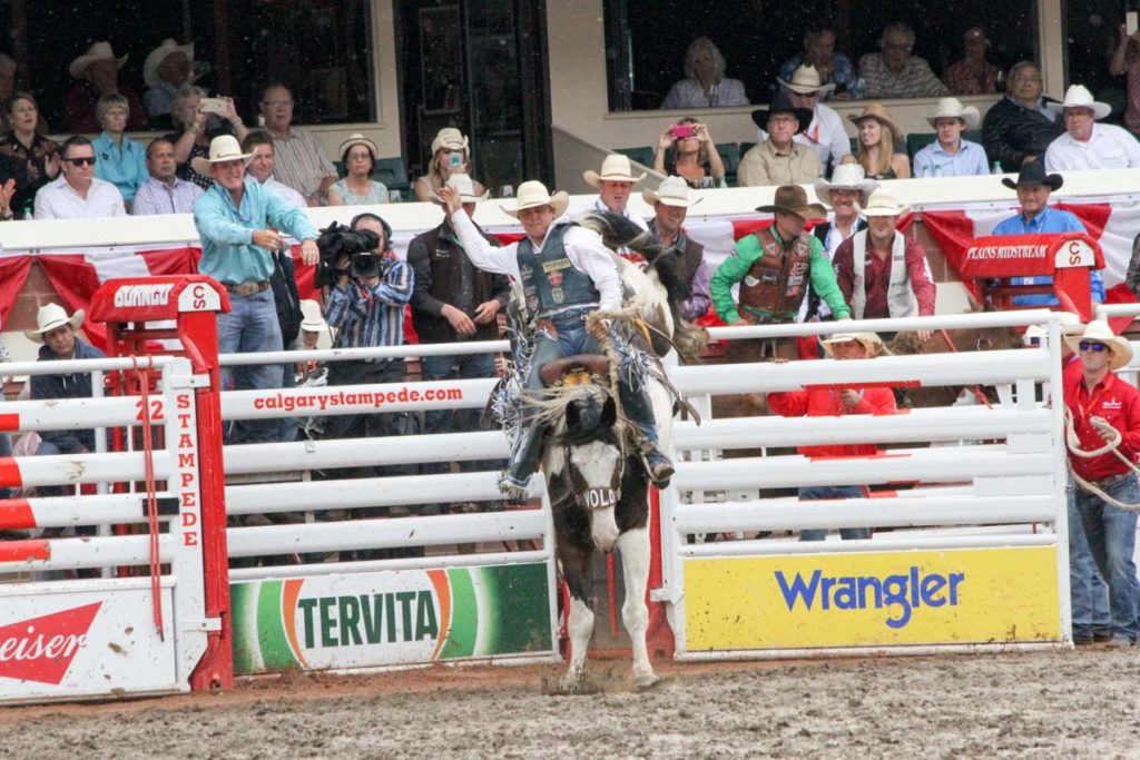 Calgary Stampede CLN 2015 (Day 2) (Jake Wright)