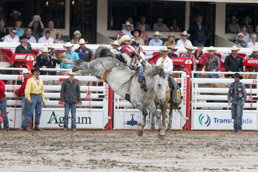 CLN Insider with Kaycee Feild - Cowboy Lifestyle Network