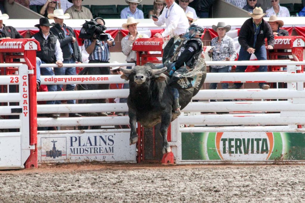 Calgary Stampede CLN 2015 (Day 2) (Mike Lee)