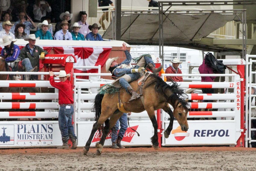 Calgary Stampede CLN 2015 (Day 2) (Ryan Gray)