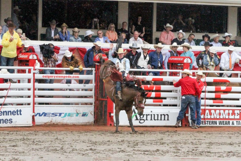 Calgary Stampede CLN 2015 (Day 2) (Tim OConnell)