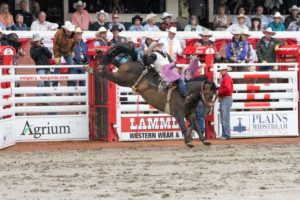 Calgary Stampede CLN 2015 (Day 2) (Ty Taypotat)