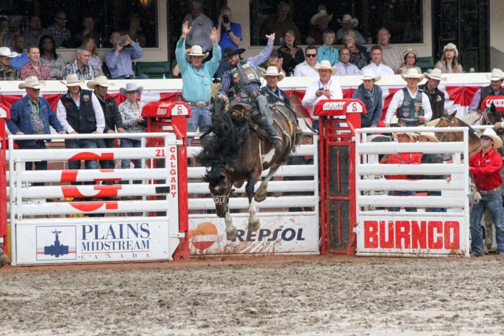 Calgary Stampede CLN 2015 (Day 2) (Wade Sundell)