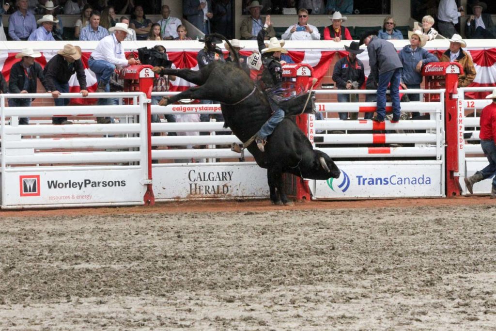 Calgary Stampede CLN 2015 (Day 2) (Wesley Silcox)