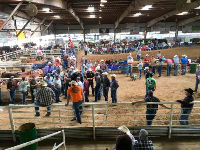 Duvall Steer Wrestling Jackpot 2017 “Checotah Style” The Duvall Family